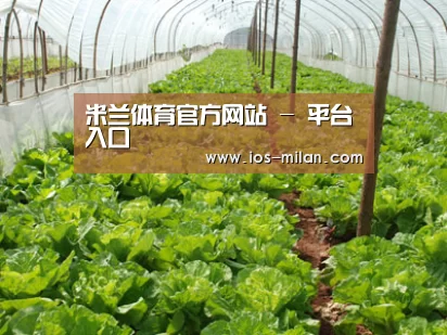 种植基地五
