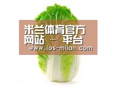 产品名称一(图1) 产品名称一(图1)